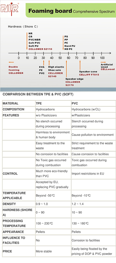 What is TPE?