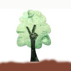 About our TPE yoga mats