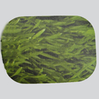 Natural Rubber yoga mat