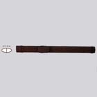 Pool protector cue cases